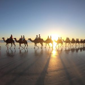 Top Adventure Travel for 2025: Spiritual Journeys to Mecca and Medina